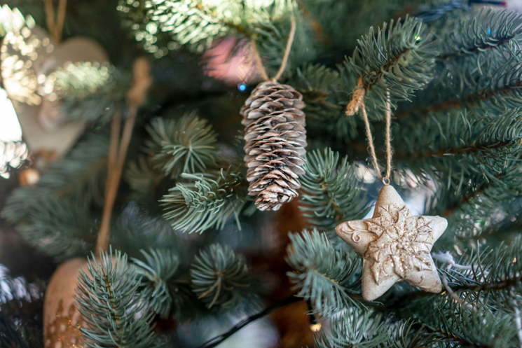 Celebrate Christmas in July with a Beautiful Tree for Sale